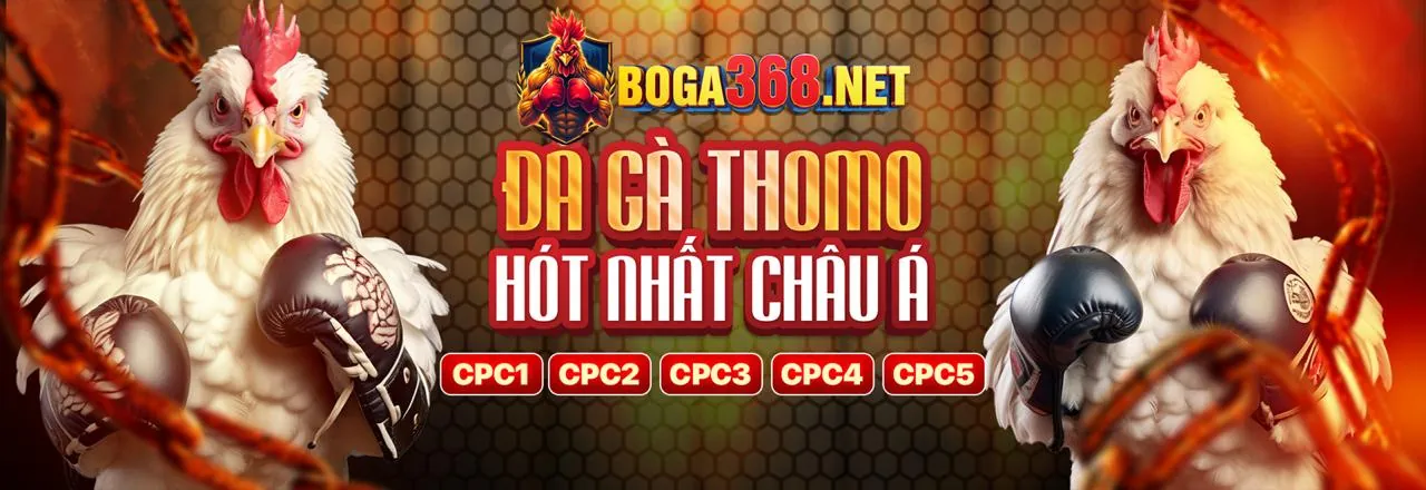 Hình ảnh chính về Câu hỏi thường gặp của c54 game bài