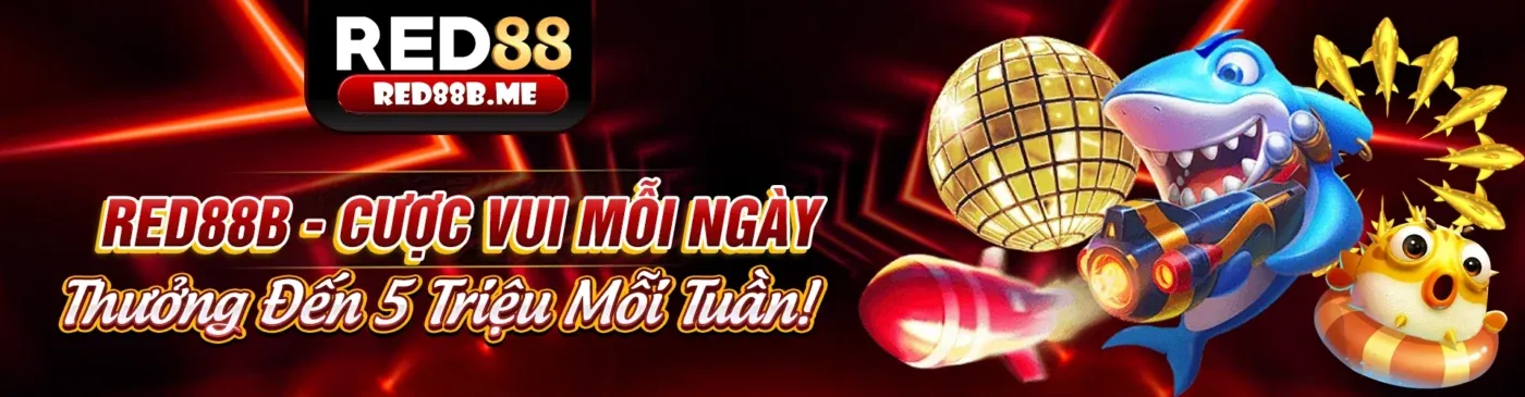 C54 Game Bài 2026: Nền tảng giải trí trực tuyến hàng đầu Việt Nam